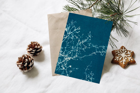 notecard set • in the stillness