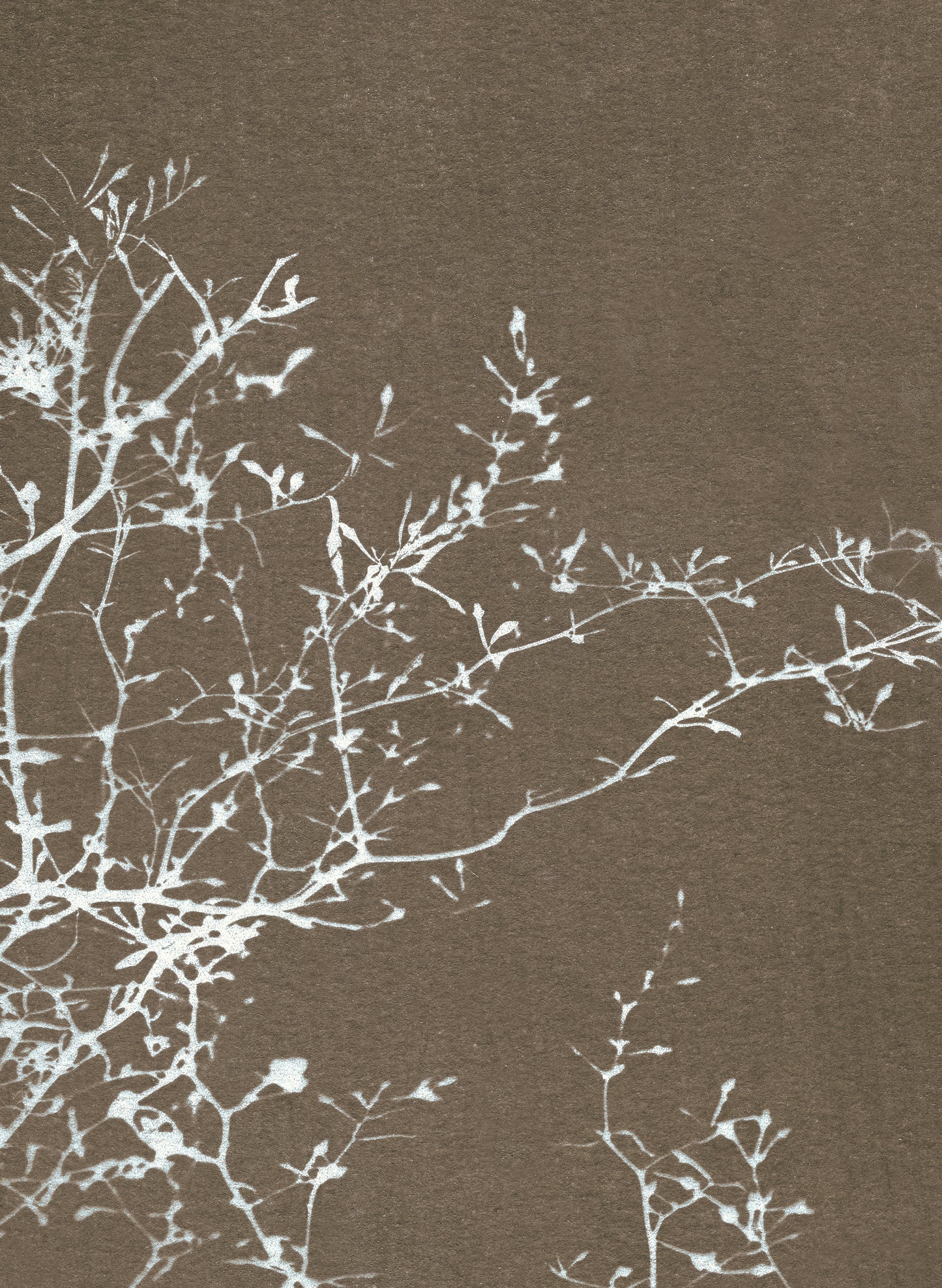 notecard set • in the stillness