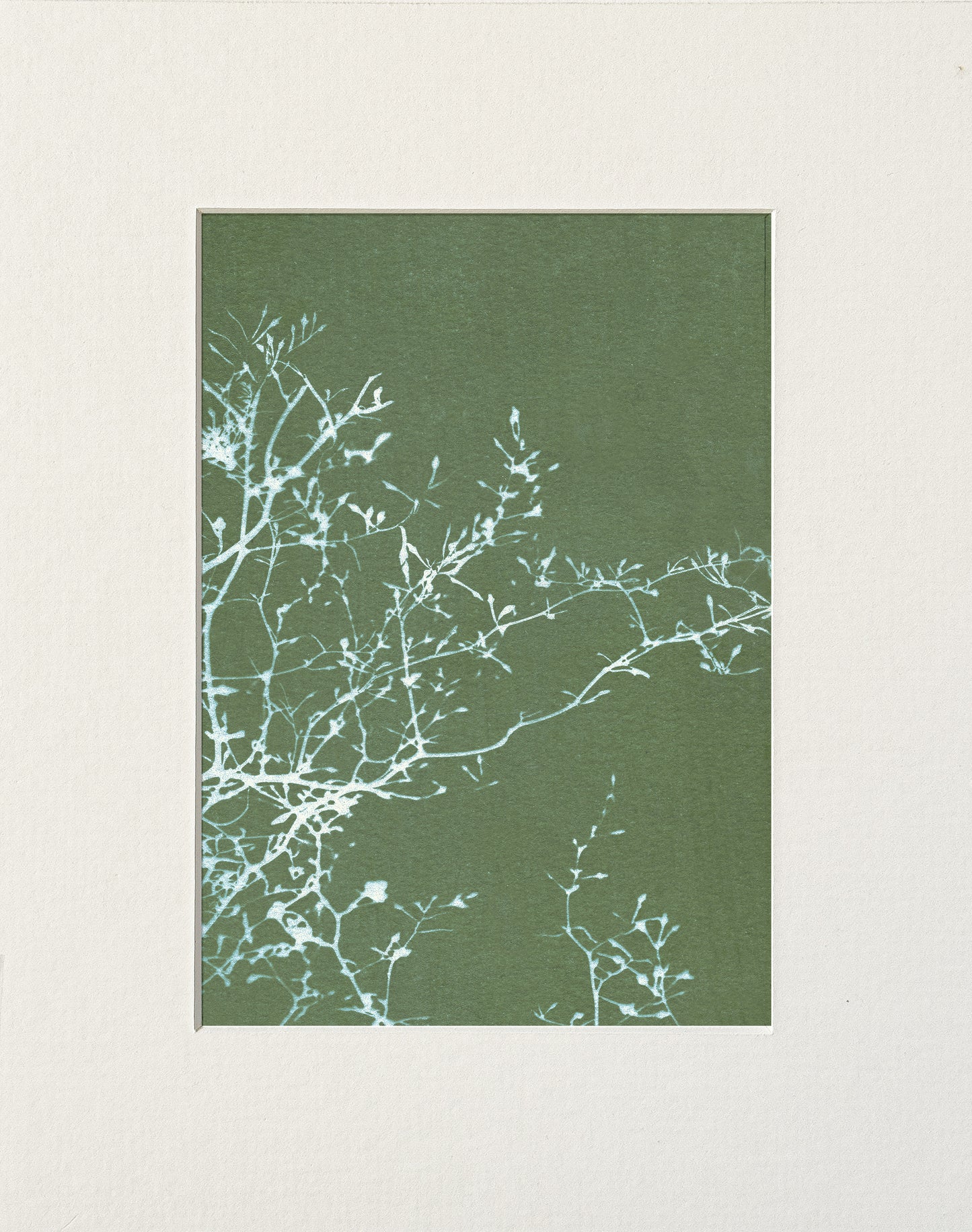 sunshadow 4 moss