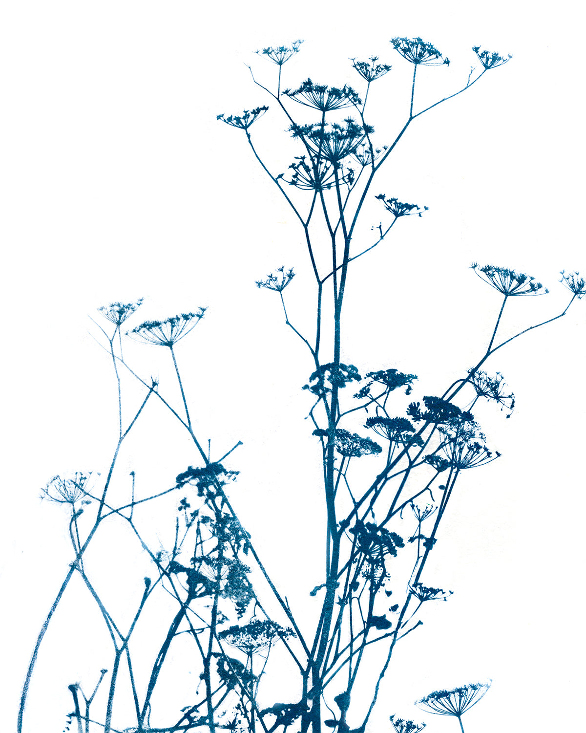 notecard set • in the waiting