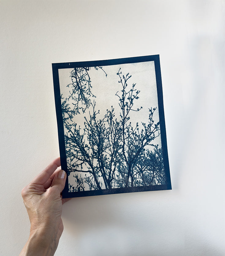 cyanotype originals
