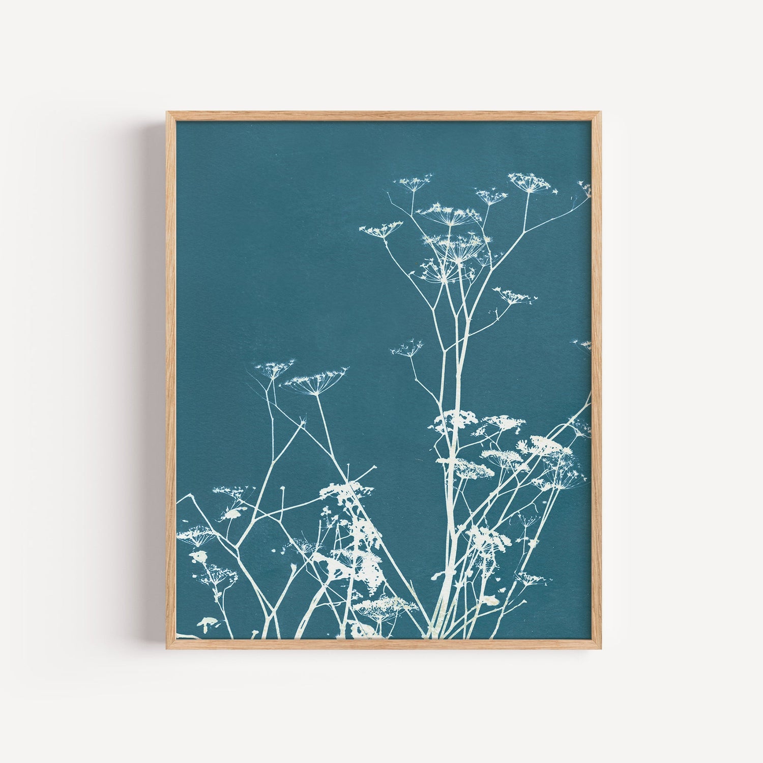 cyanotype prints