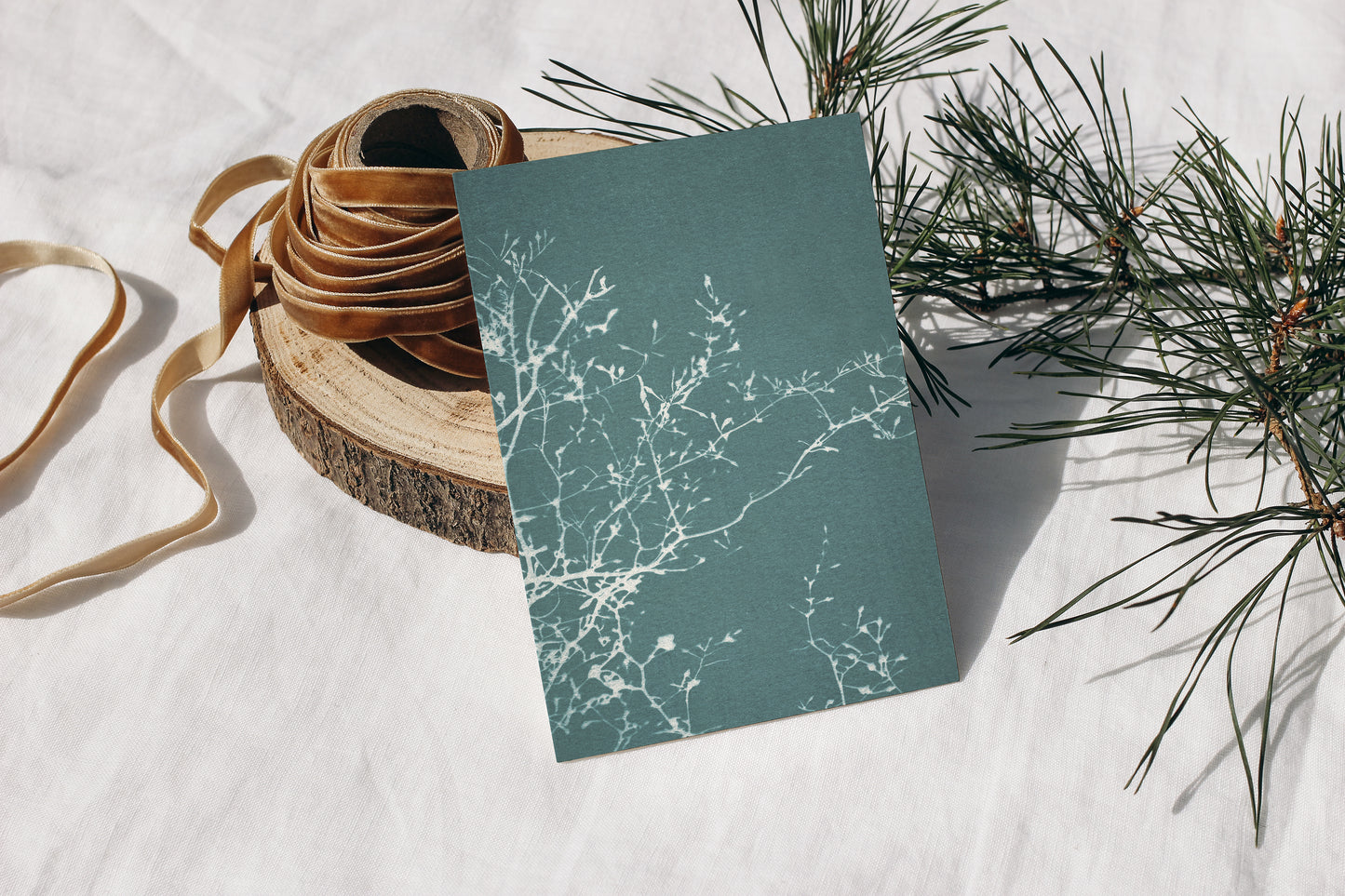 notecard set • in the stillness