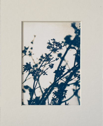 sunshadow 9