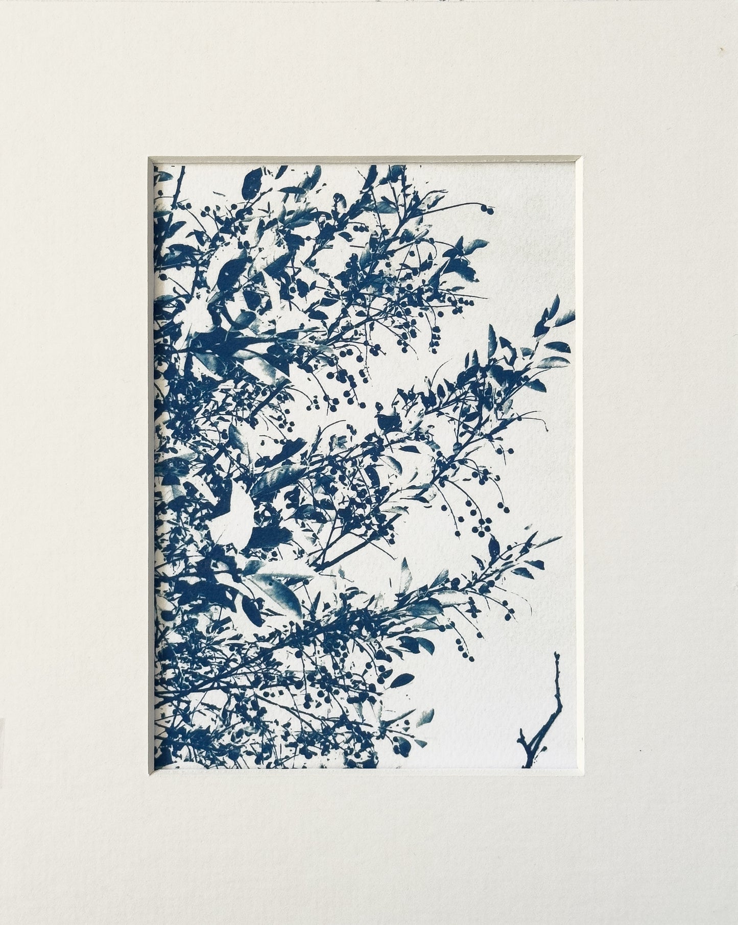 sunshadow 8