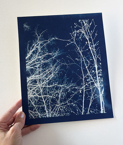 where the air is crisp