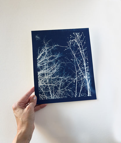 where the air is crisp