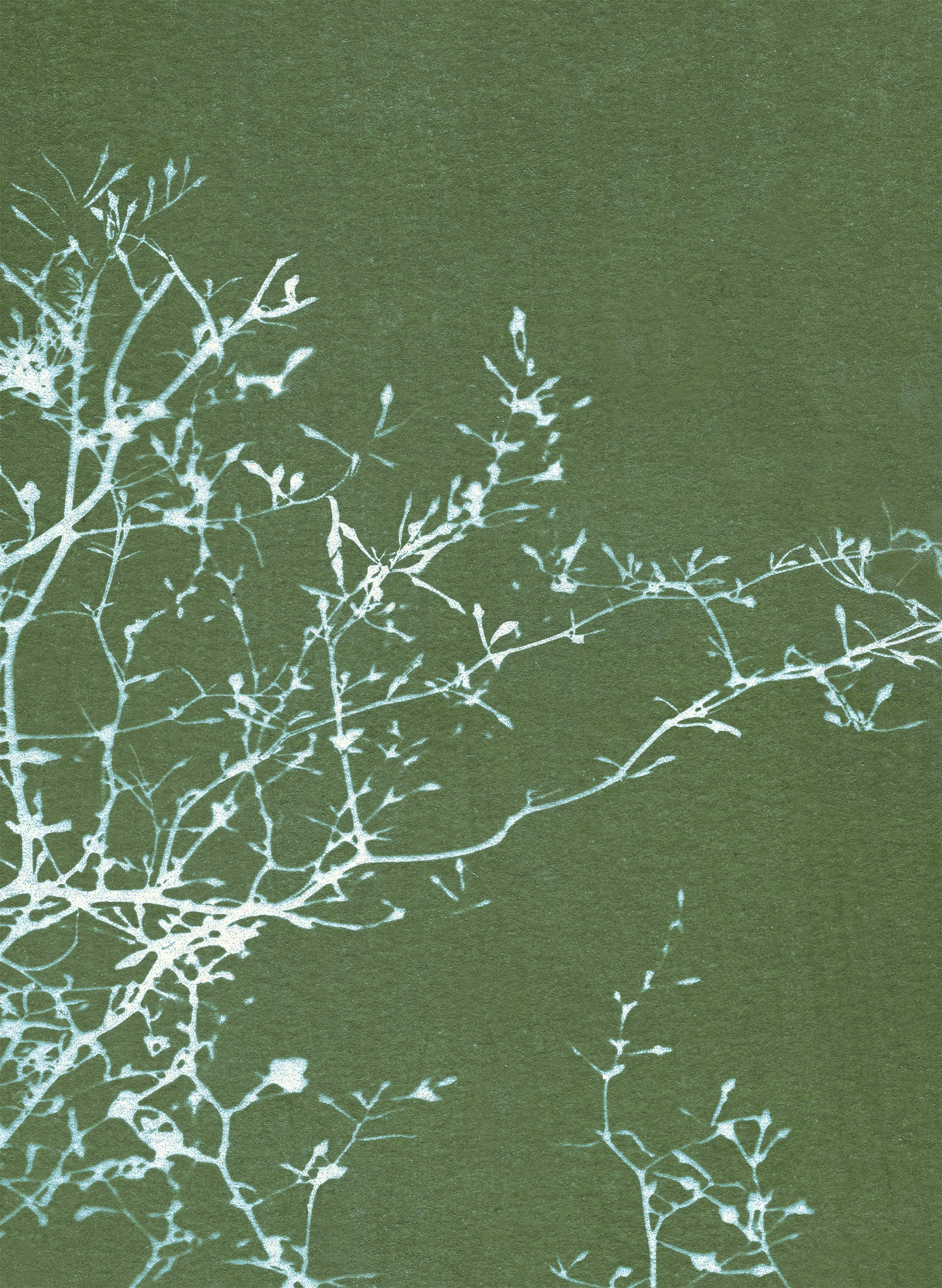 notecard set • in the stillness