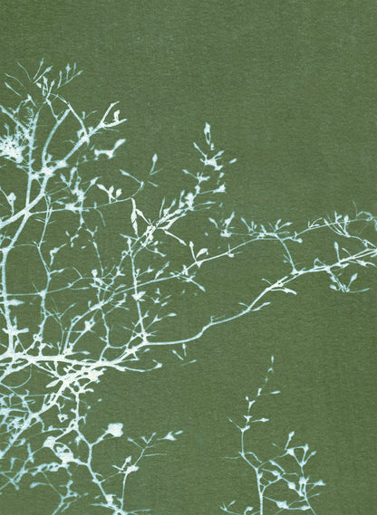 notecard set • in the stillness