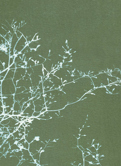 gift set • in the stillness