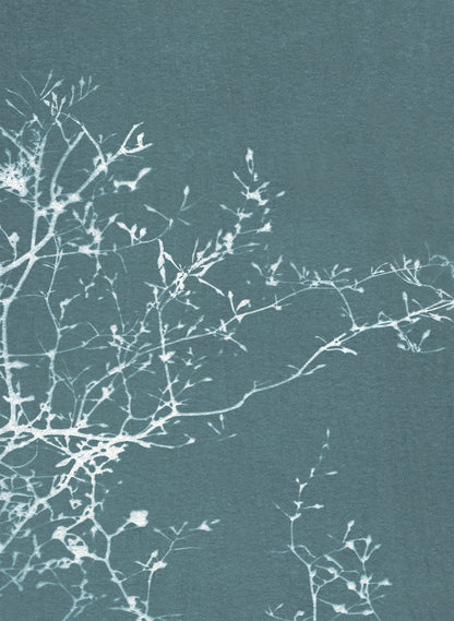 notecard set • in the stillness