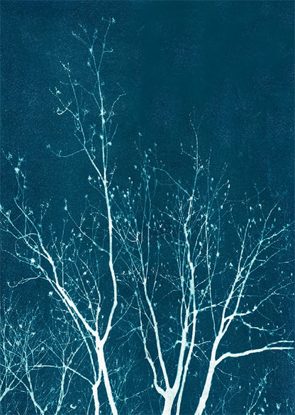 gift set • in the winter light