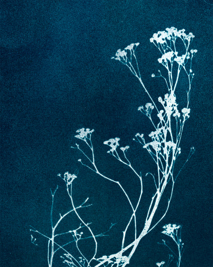 sunshadow 7