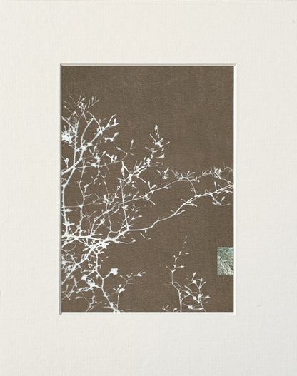 sunshadow 4